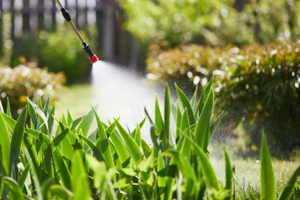 Tamper-Resistant Bait Stations for Rodents in Indianola