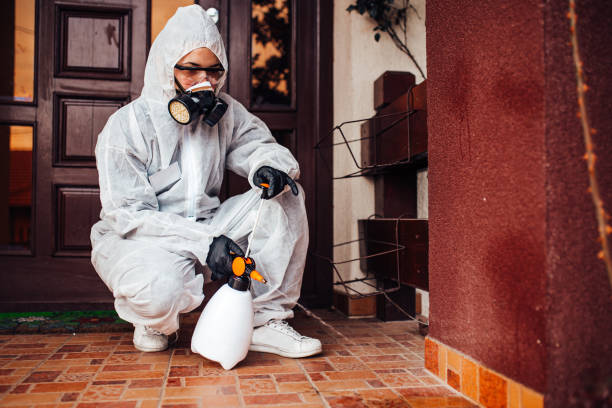 Attic and Crawl Space Rodent Treatment in Indianola