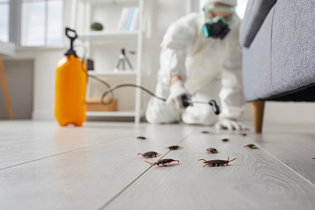 Commercial Rodent Management in Indianola